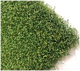 Multifunction artificial grass roll golf grass ,with high density,5000D ,light green
