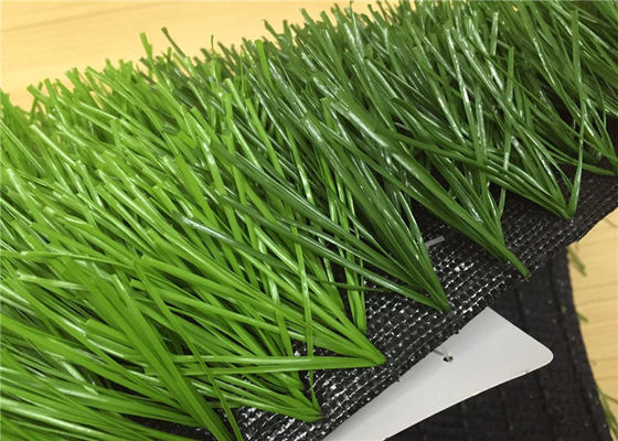 Outdoor Synthetic Turf Grass Football Field With Stem 8 Straight Fibers 10500 Density