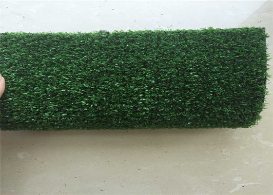 10mm High Density Leisure Lawn Artificial Grass Carpets 6600d Tate Yarn