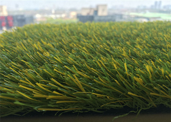 7000d Patio Outdoor Artificial Turf Rugs For Dogs Canola Flowers Canola Yellow  Colors
